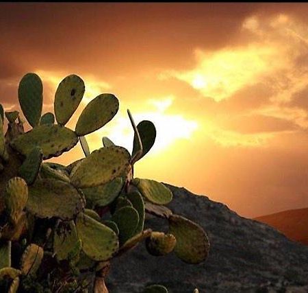 Prickly Pear House Hotel Plaka  Ngoại thất bức ảnh