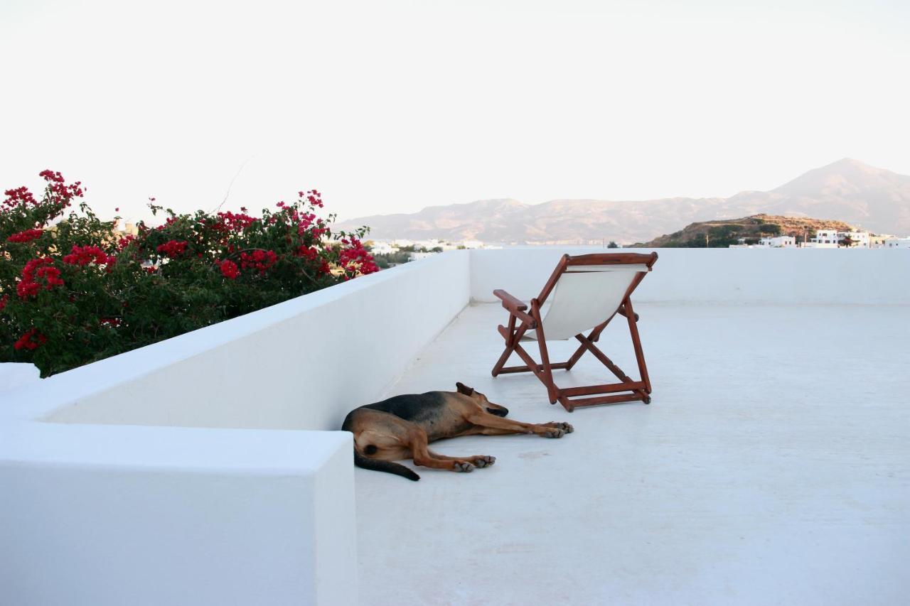Prickly Pear House Hotel Plaka  Ngoại thất bức ảnh